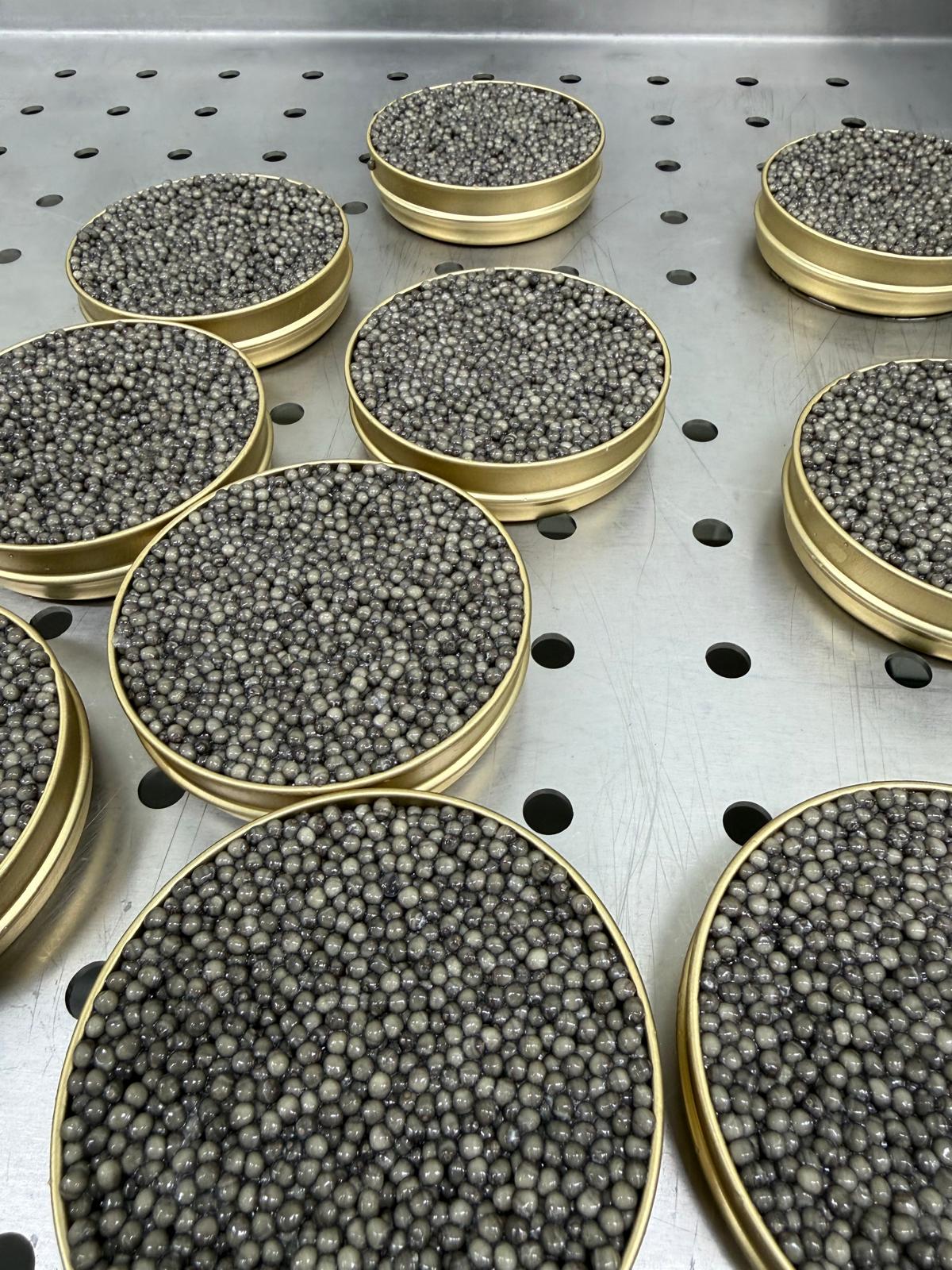 Caviar Beluga Delicate Selection — Caviar Premium Suisse — CaviarNoir.ch