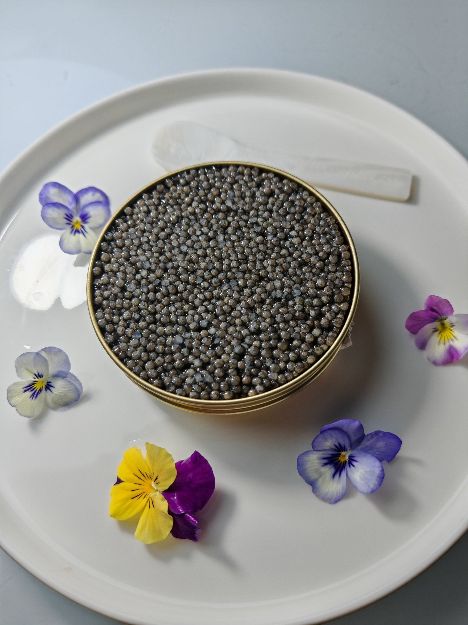 Caviar Bester Classic Selection — Caviar Premium Suisse — CaviarNoir.ch