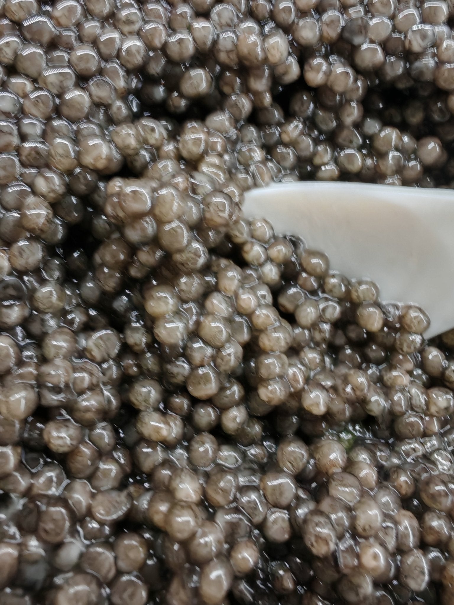 Caviar Bester Classic Selection — Caviar Premium Suisse — CaviarNoir.ch