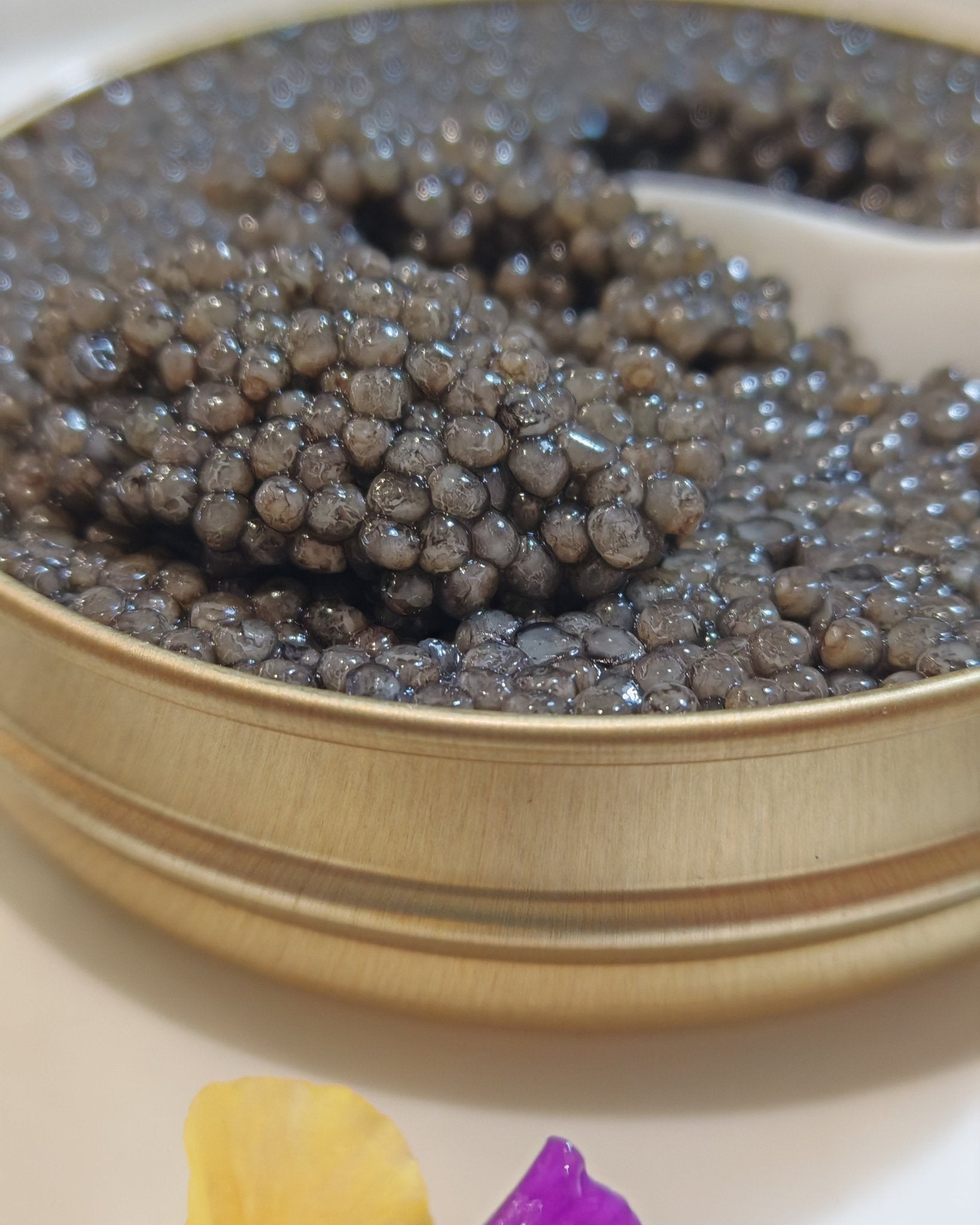 Kaviar Bester Selection – Schweizer Premium-Kaviar – CaviarNoir.ch