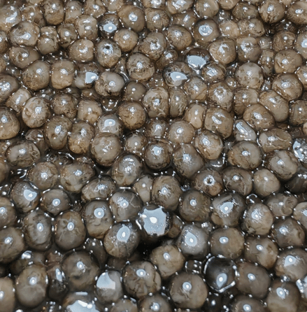 Kaviar Bester Selection – Schweizer Premium-Kaviar – CaviarNoir.ch