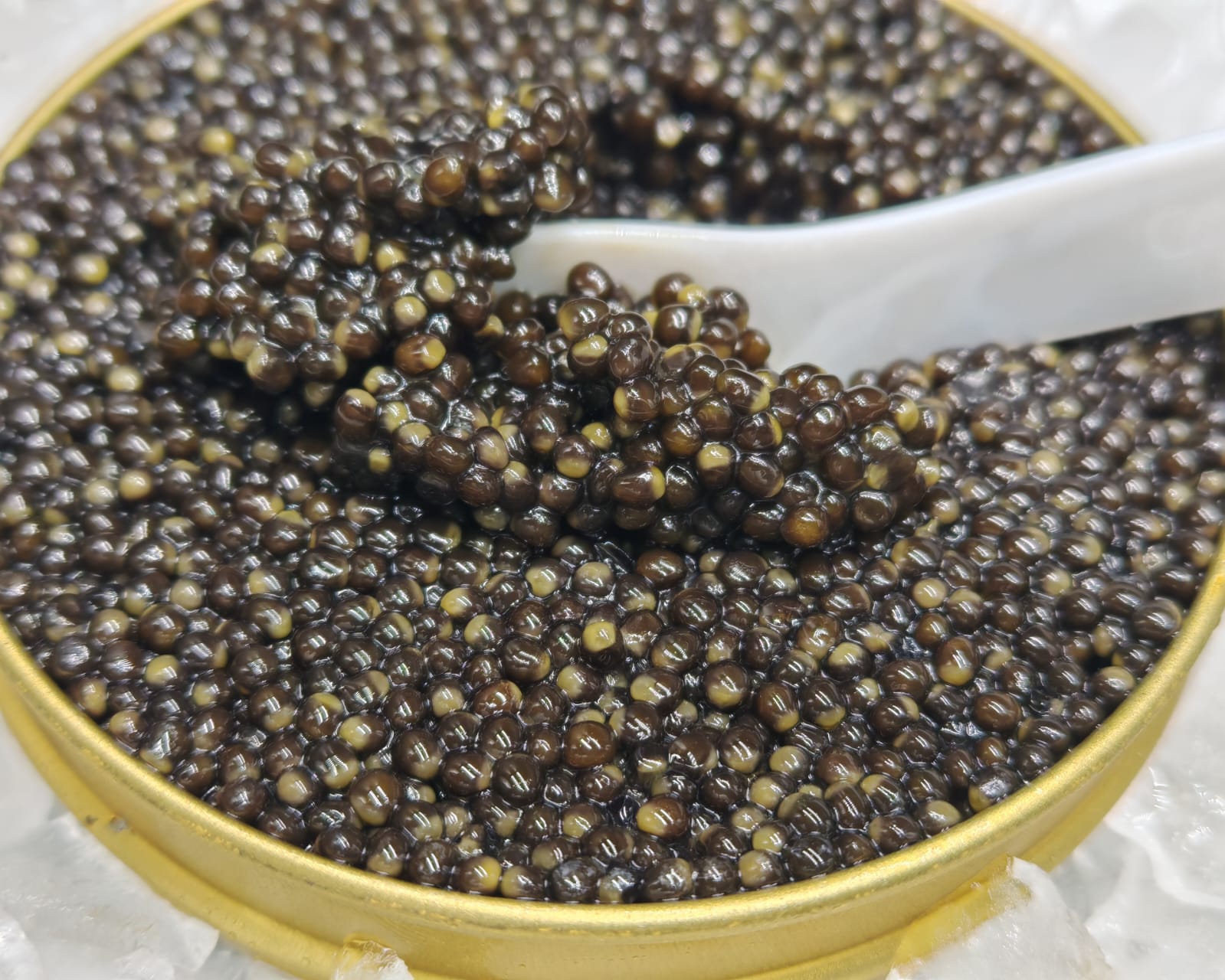 Caviar Osciètre Blue Label — Caviar Premium Suisse — CaviarNoir.ch
