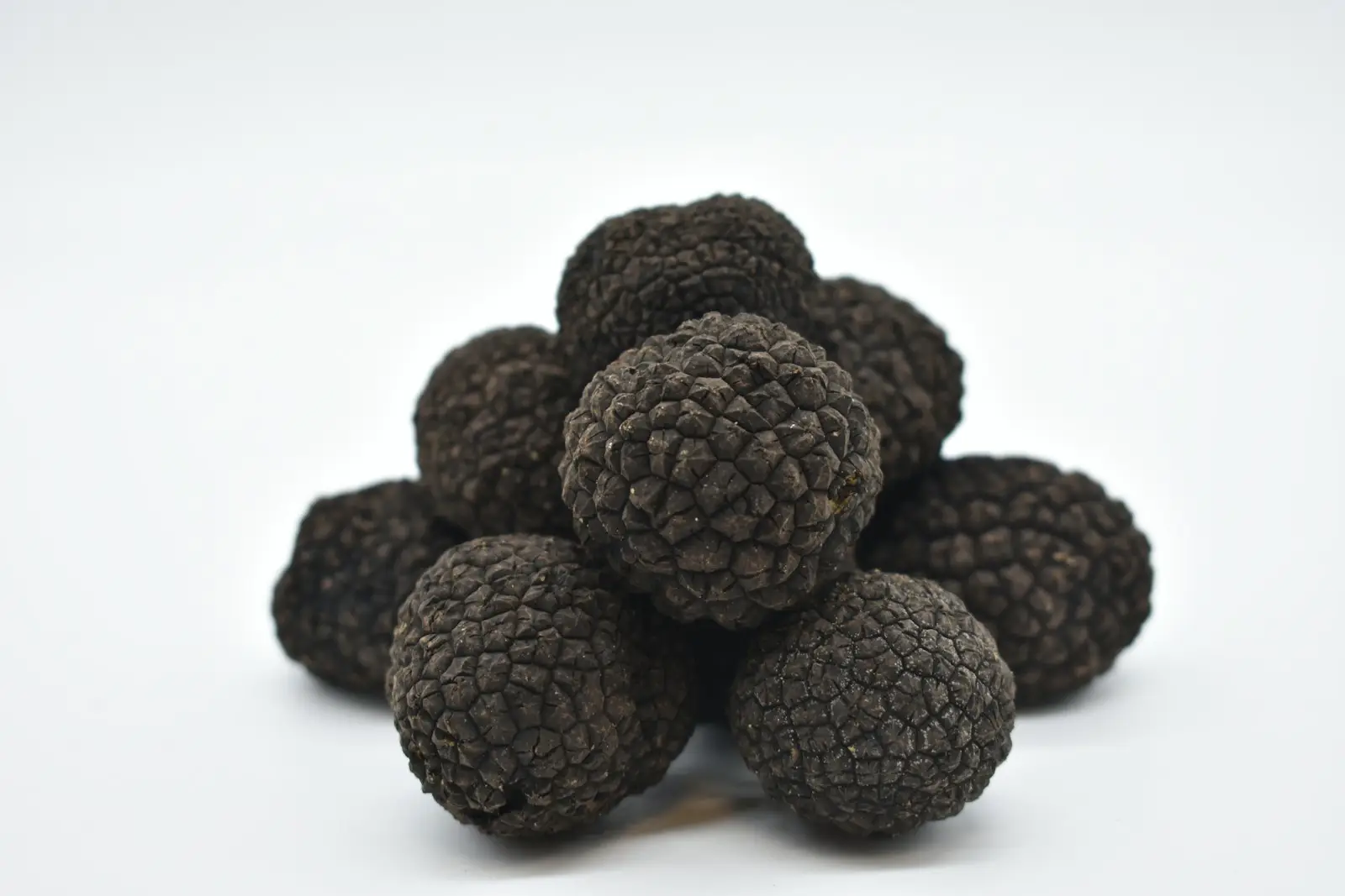 Acheter truffes fraîches en Suisse