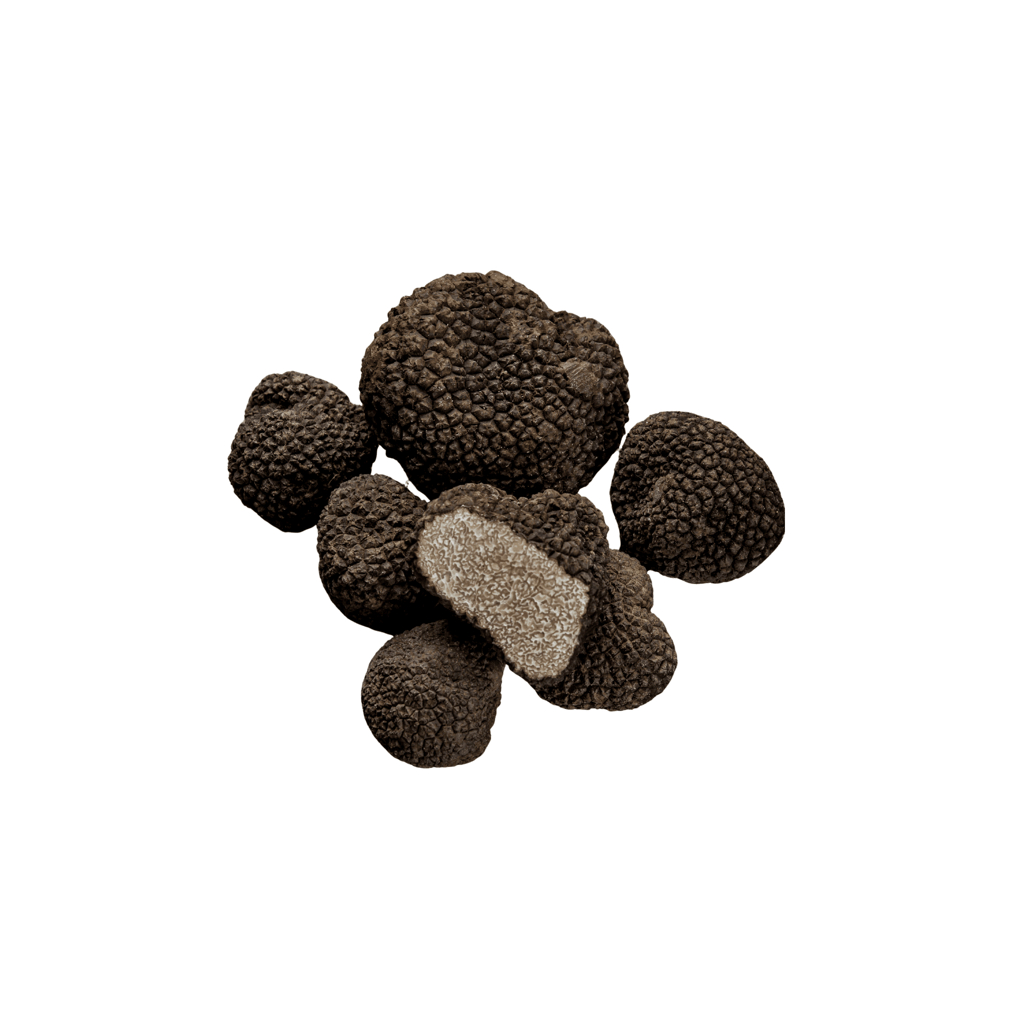 Acheter truffes fraîches en Suisse