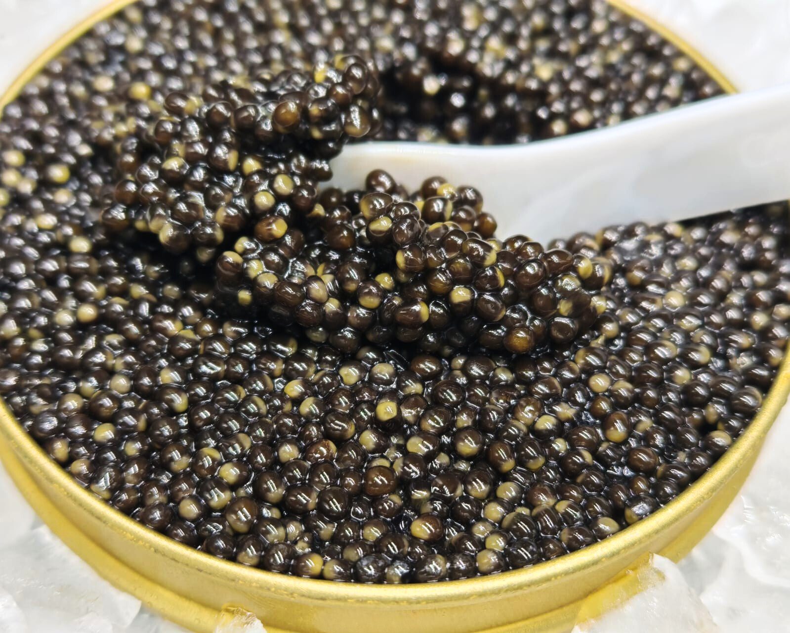 Osciètre caviar